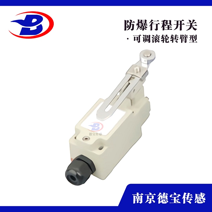 DOB-PSKU/L-110DH防爆行程開關(guān)DC220V DOB-PSKU/L-110DH防爆行程開關(guān)DC220V